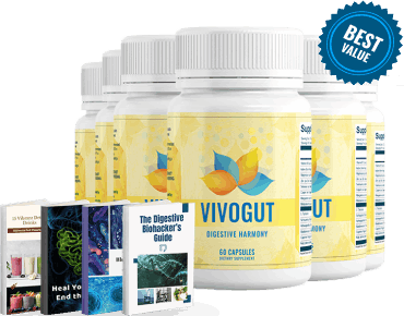 Vivogut Pricing